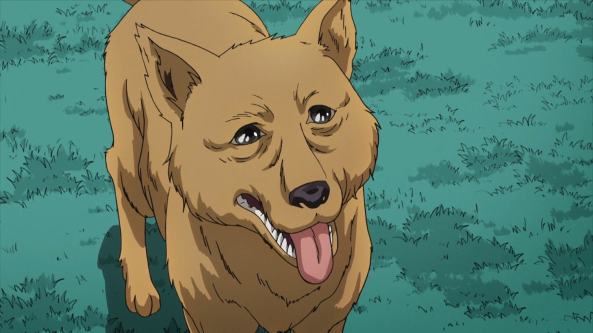 Смоуки из Джо Джо