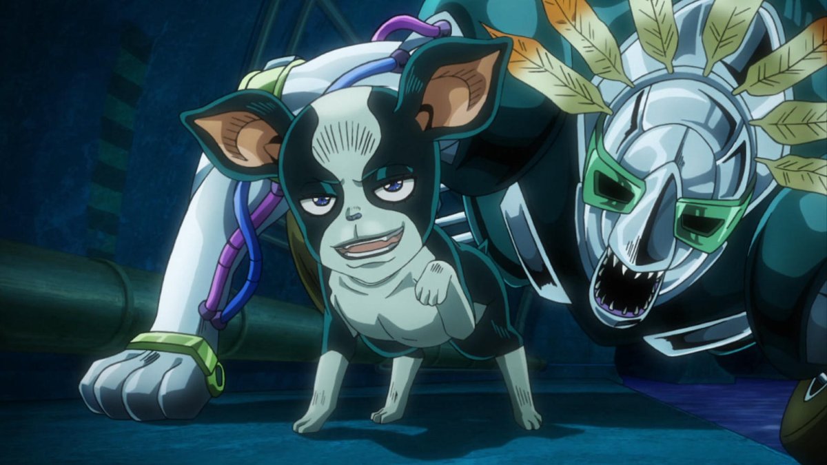 Собака Дэнни Jojo