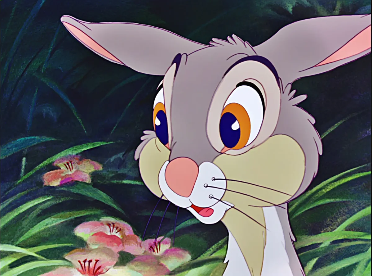 Заяц мультяшный