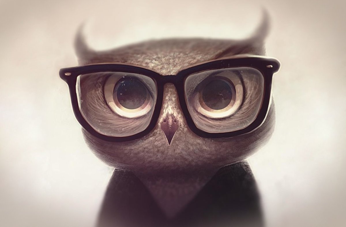 Сова в очках