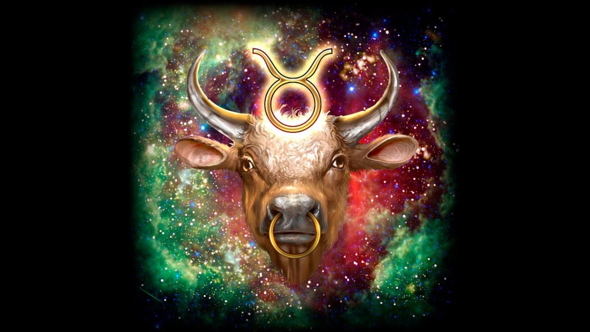 Телец мужчина