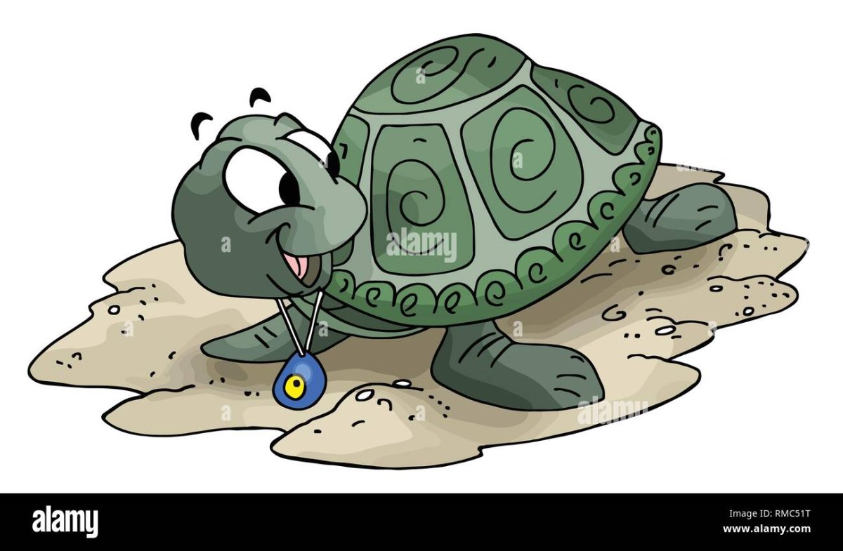 Черепаха вор