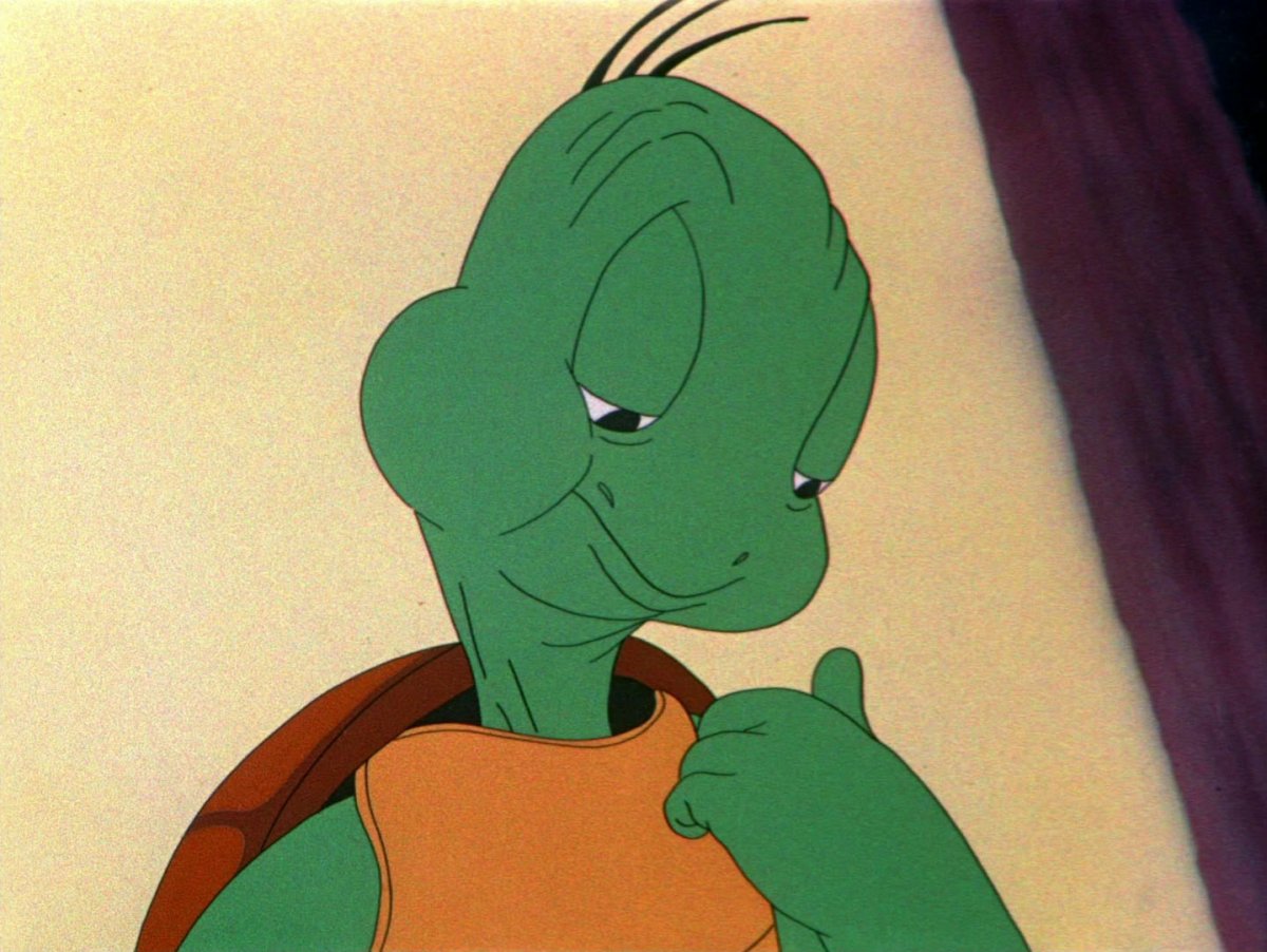 Черепашонок Сесил