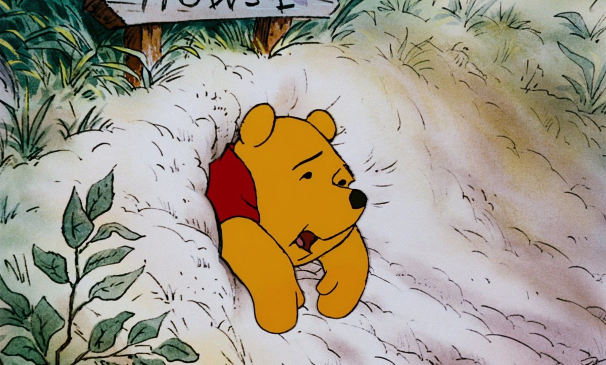 Винни пух застрял