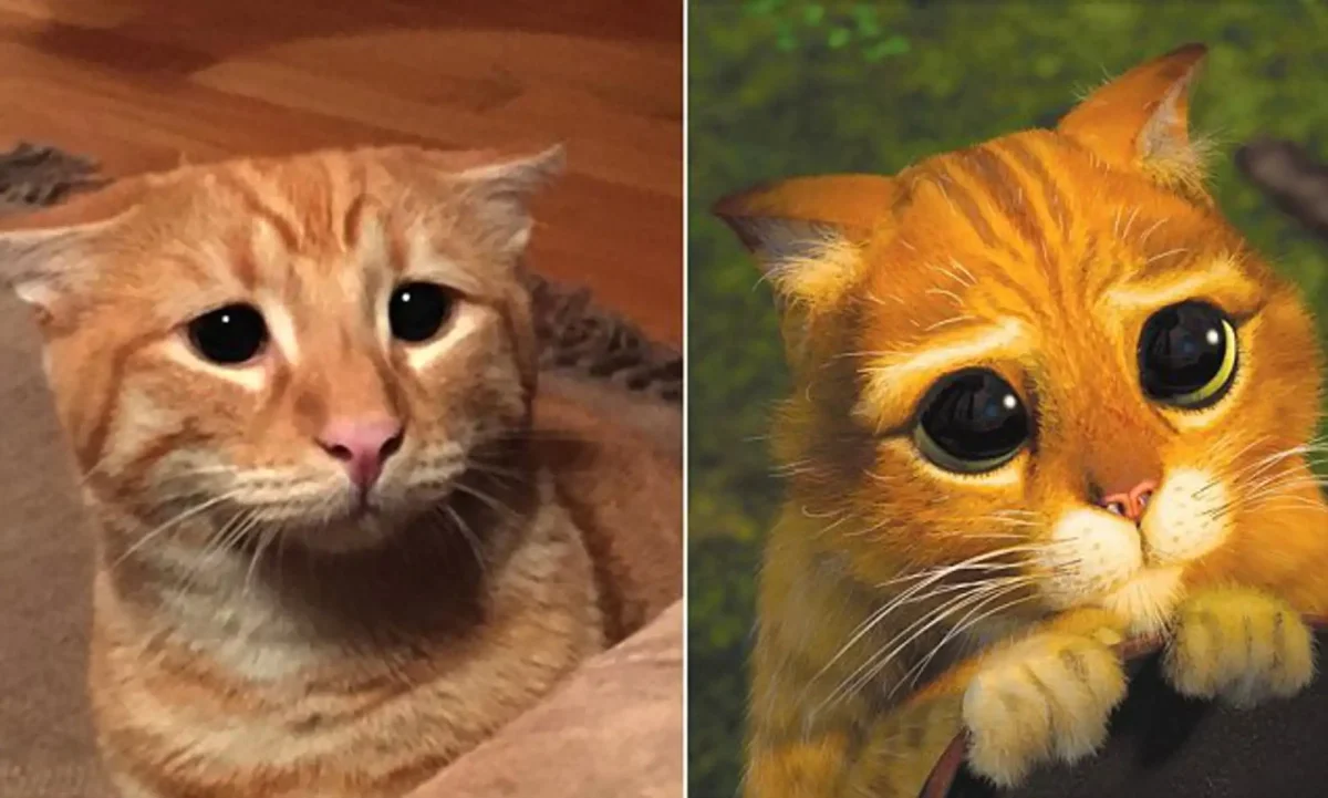 Кот в сапогах из Шрека