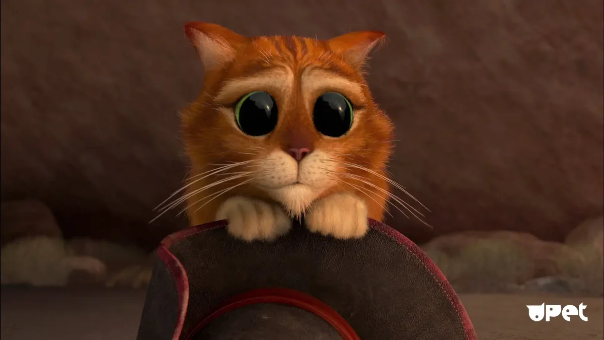 Кот в сапогах мультфильм Шрек