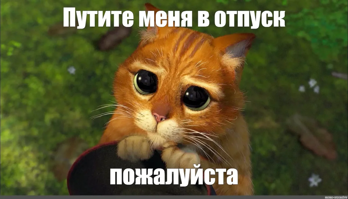 Кот с вытаращенными глазами