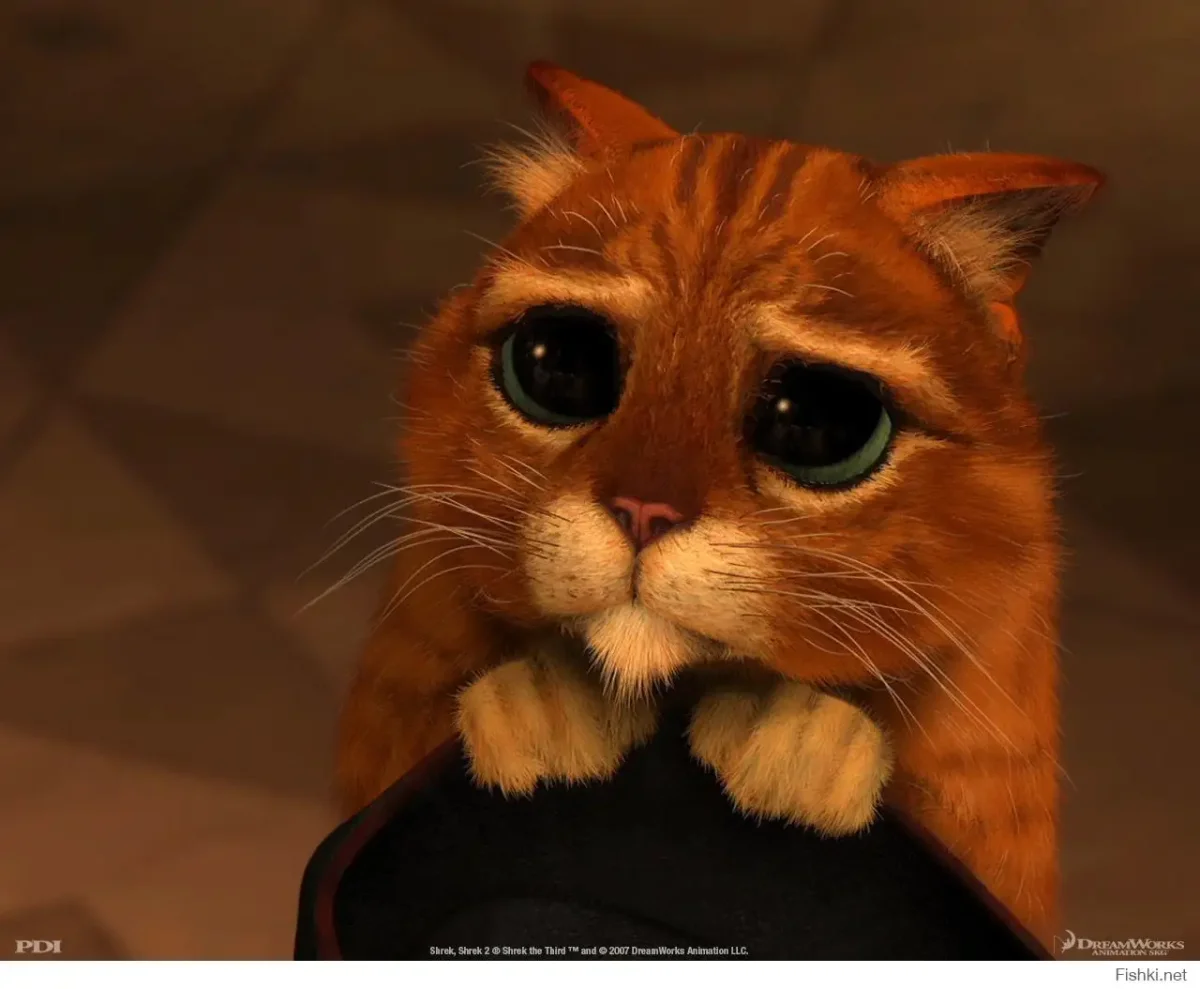 Кот Шрек глаза