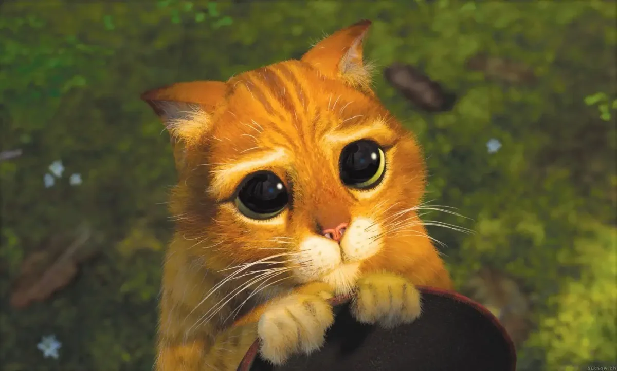 Жалостливые глаза кота из Шрека