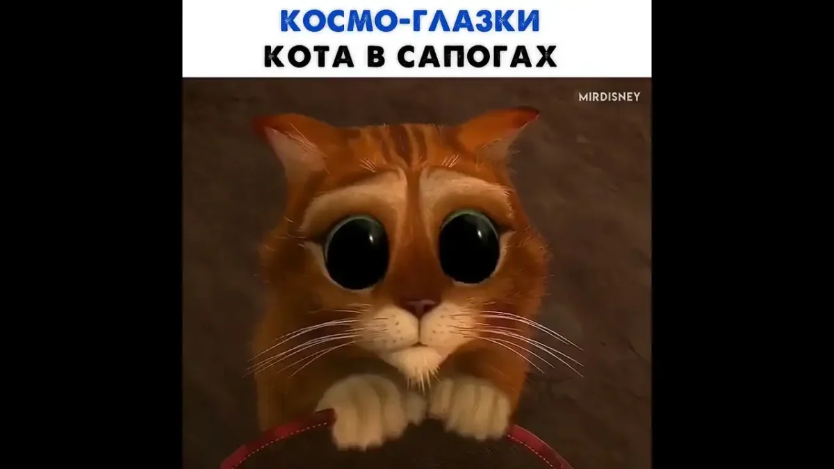 Кот в сапогах Шрек глаза