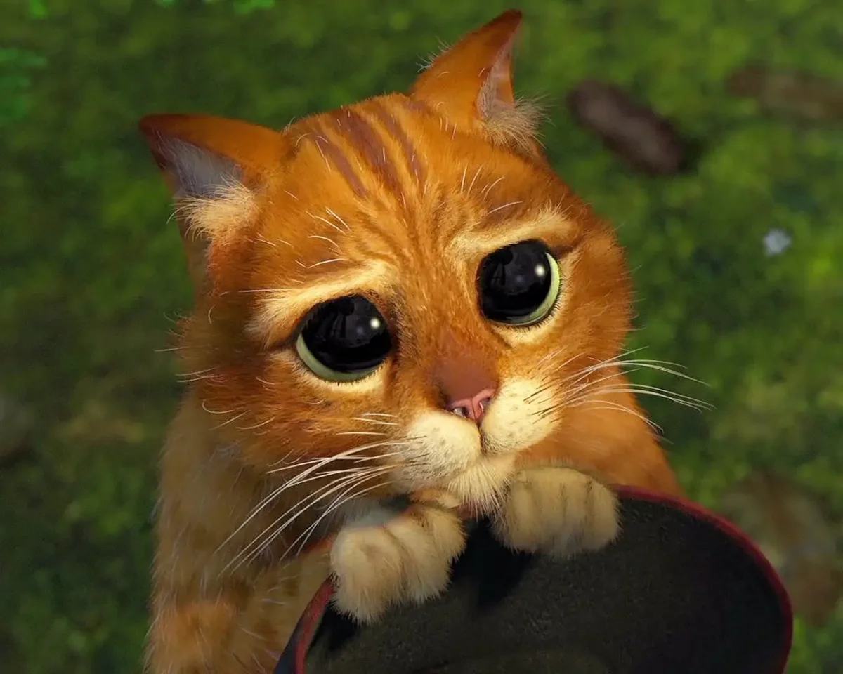 Кот из Шрека просит прощения