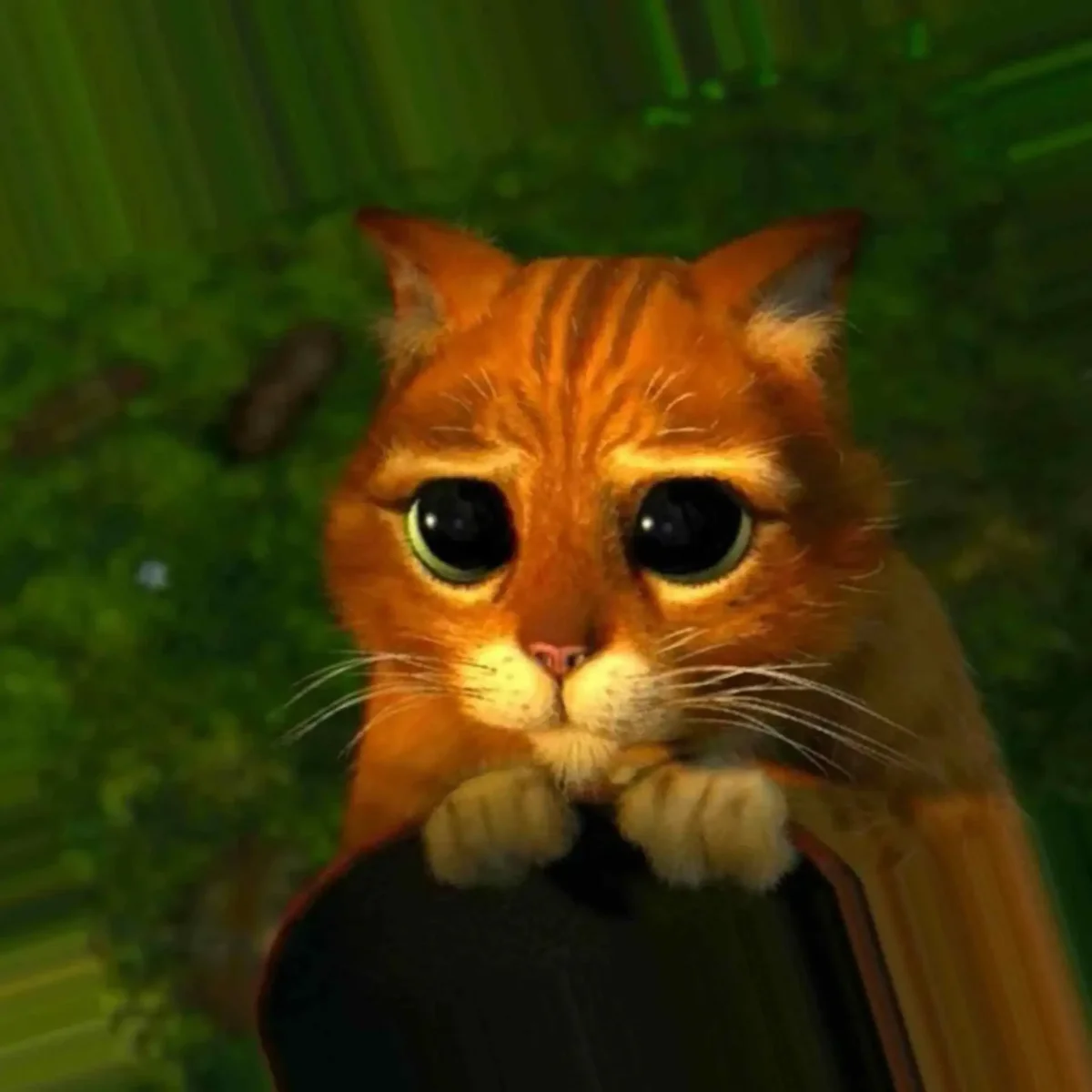Кот из Шрека с большими глазами картинки