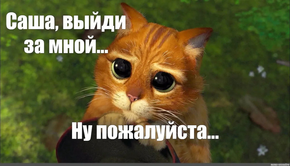 Кот в сапогах из Шрека