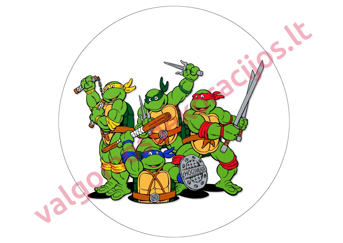 День рождения в стиле черепашек ниндзя