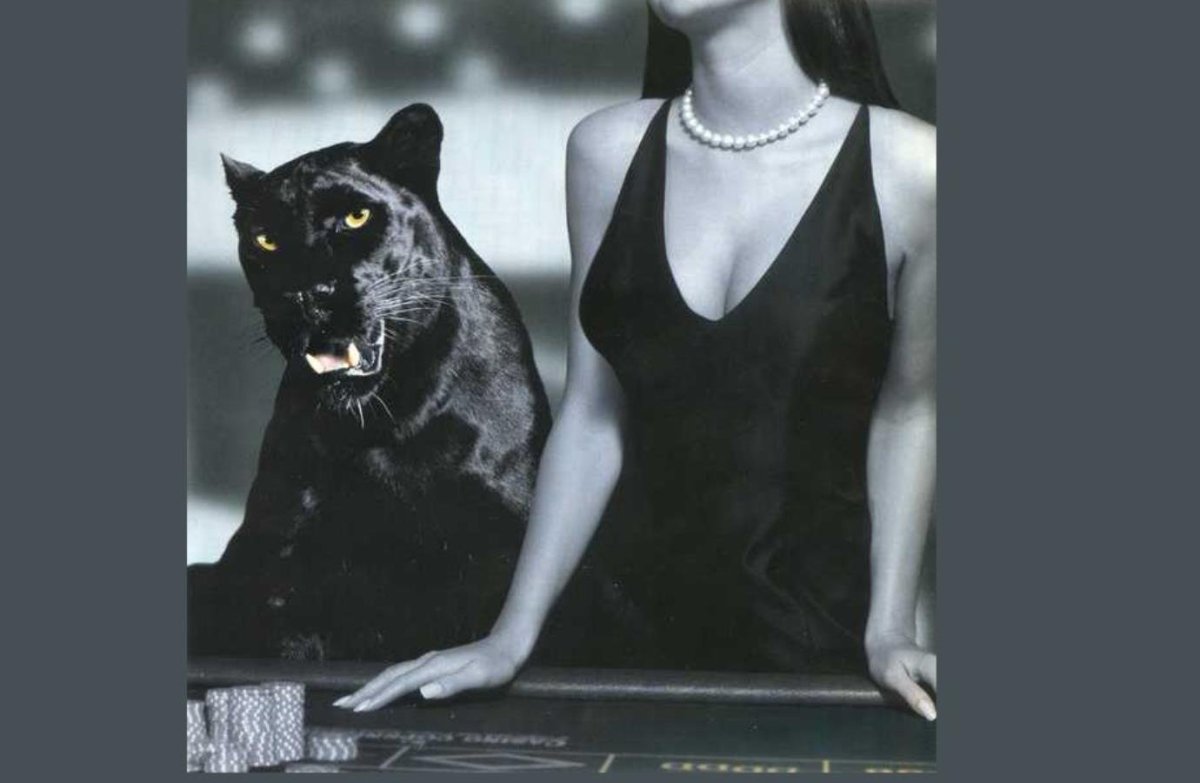 Фотосессия с пантерой