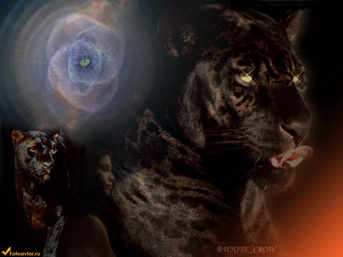 Пантера компьютерная Графика