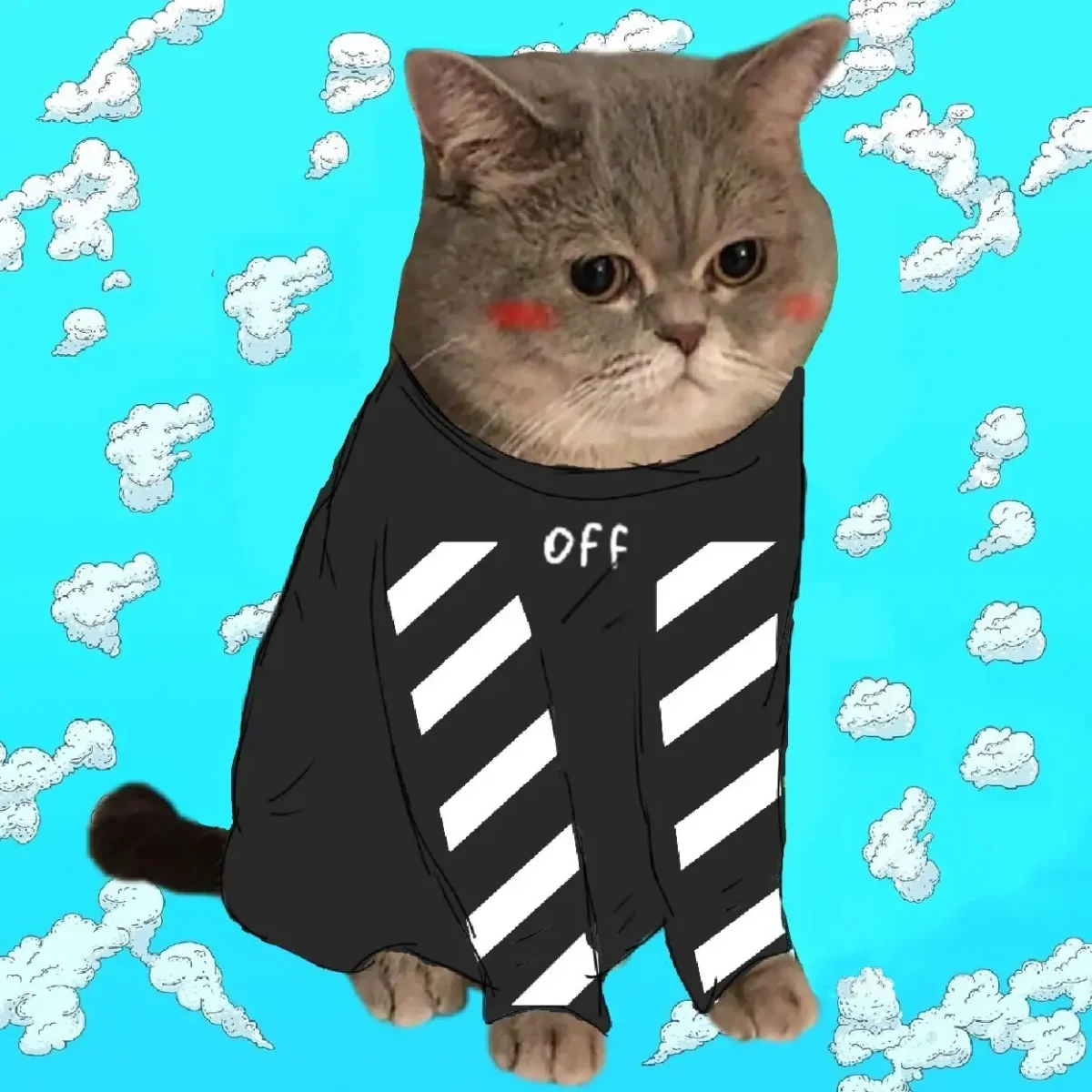 Кот в костюме off