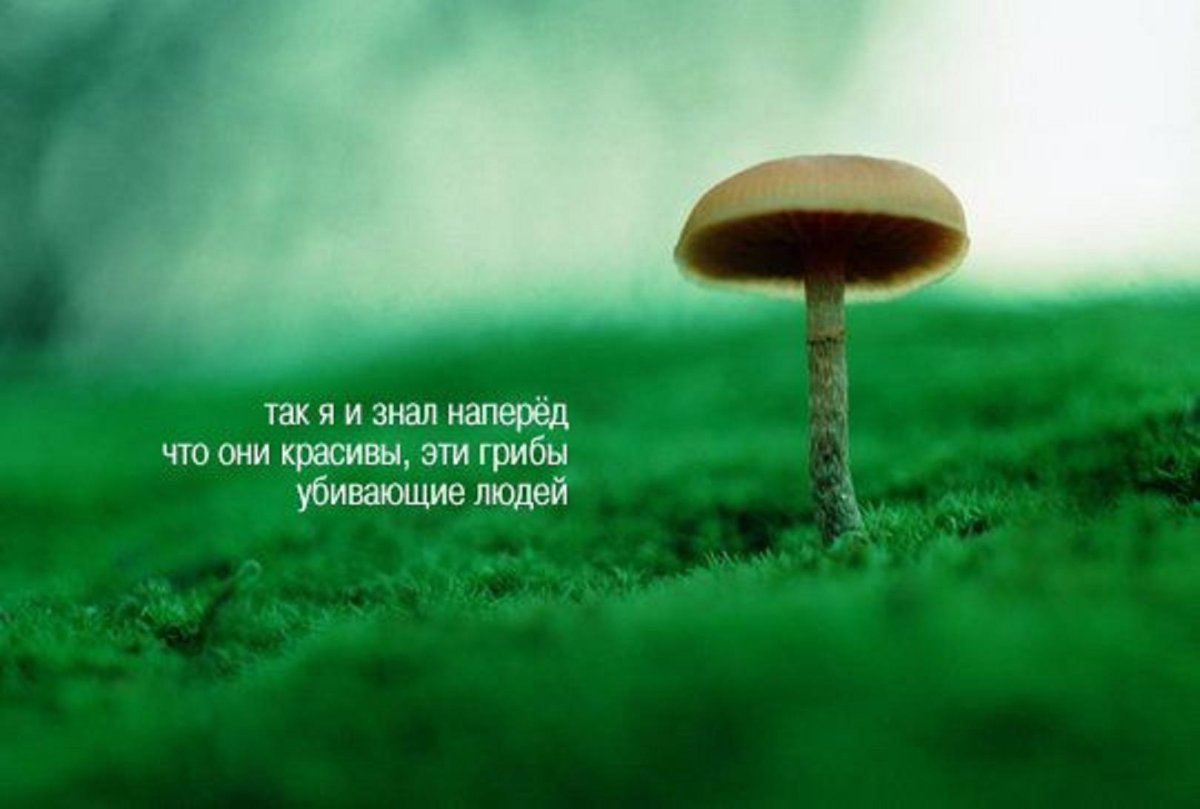 Открытки с философским смыслом