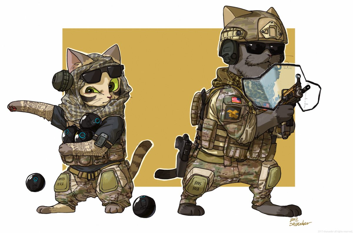 R6 Siege котики