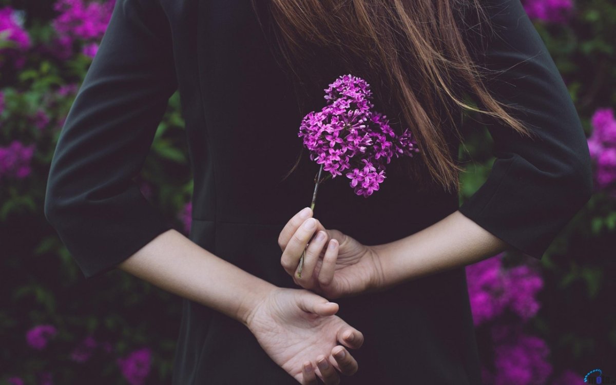 Девушка с розой в руках