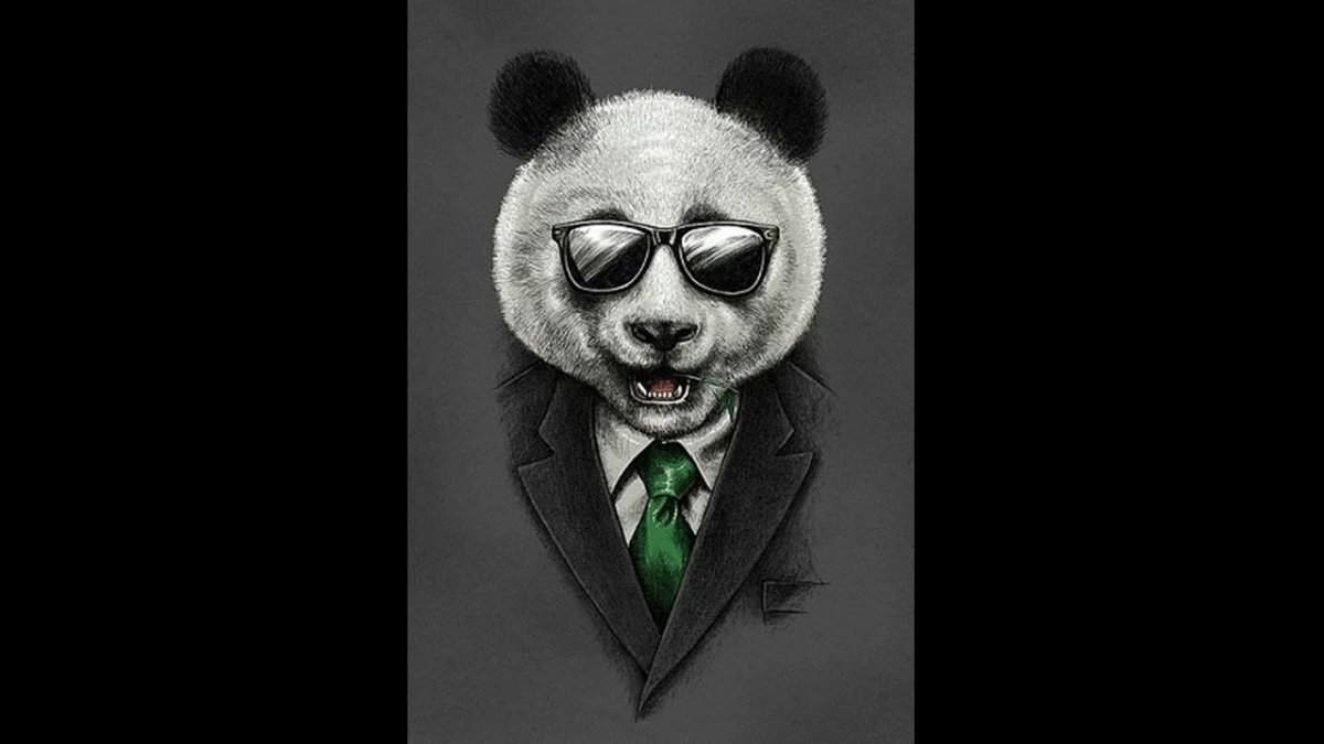 Энди Панда имя