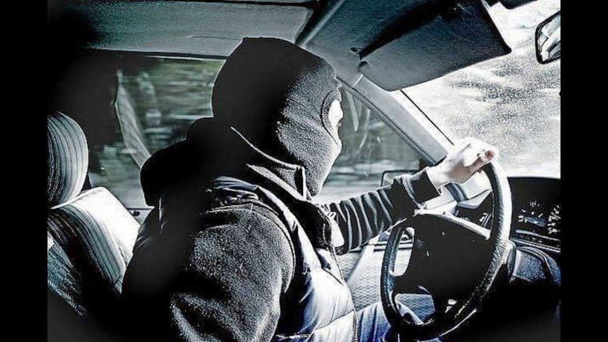 Девушка со спины с растением