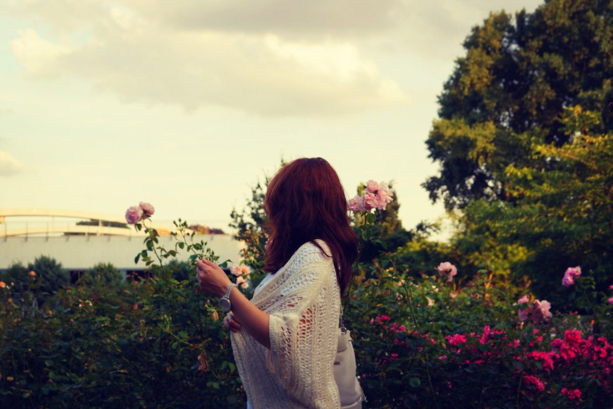 Аватарки для ватсапа эстетичные красивые