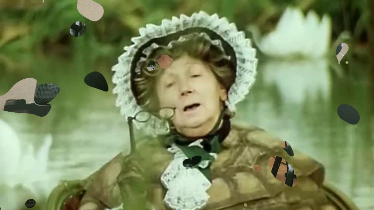 Черепаха Тортилла вектор