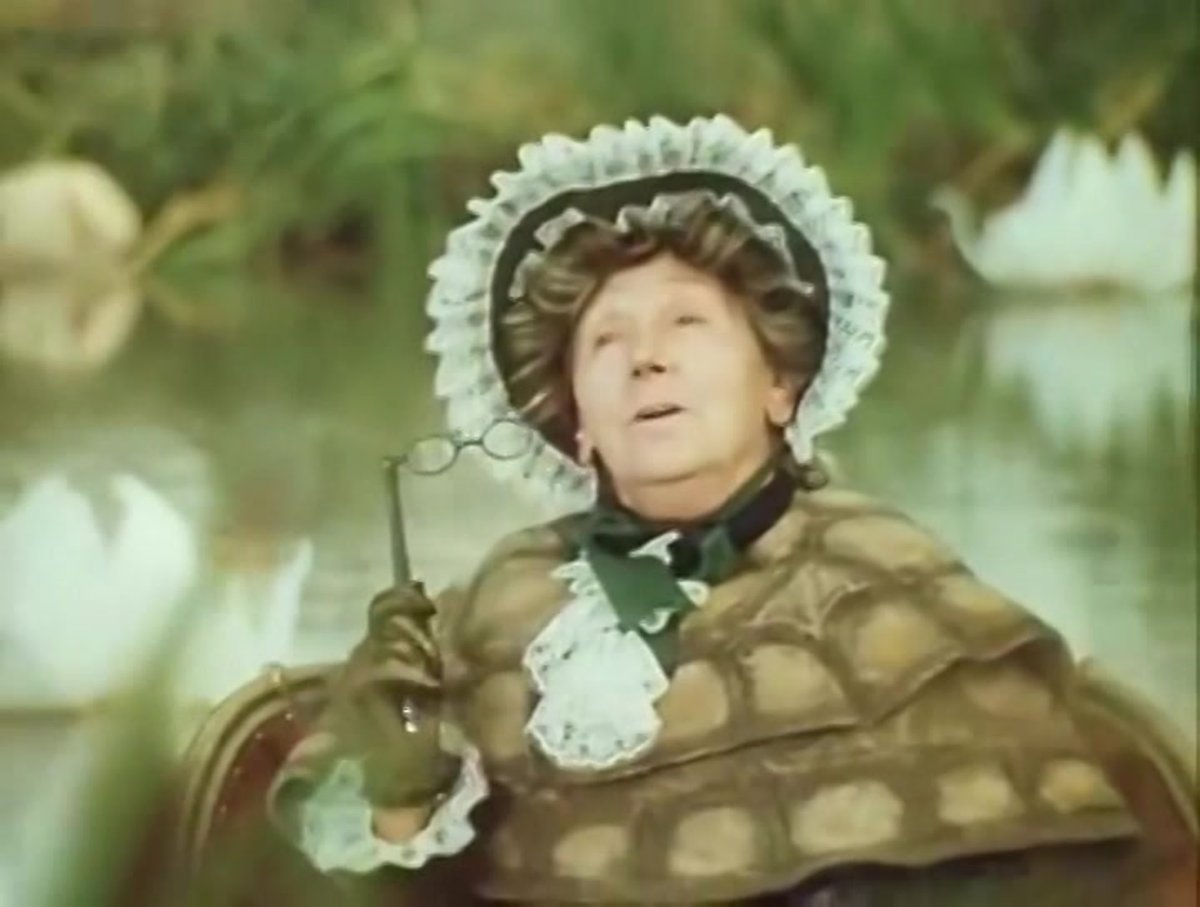 Черепаха арт