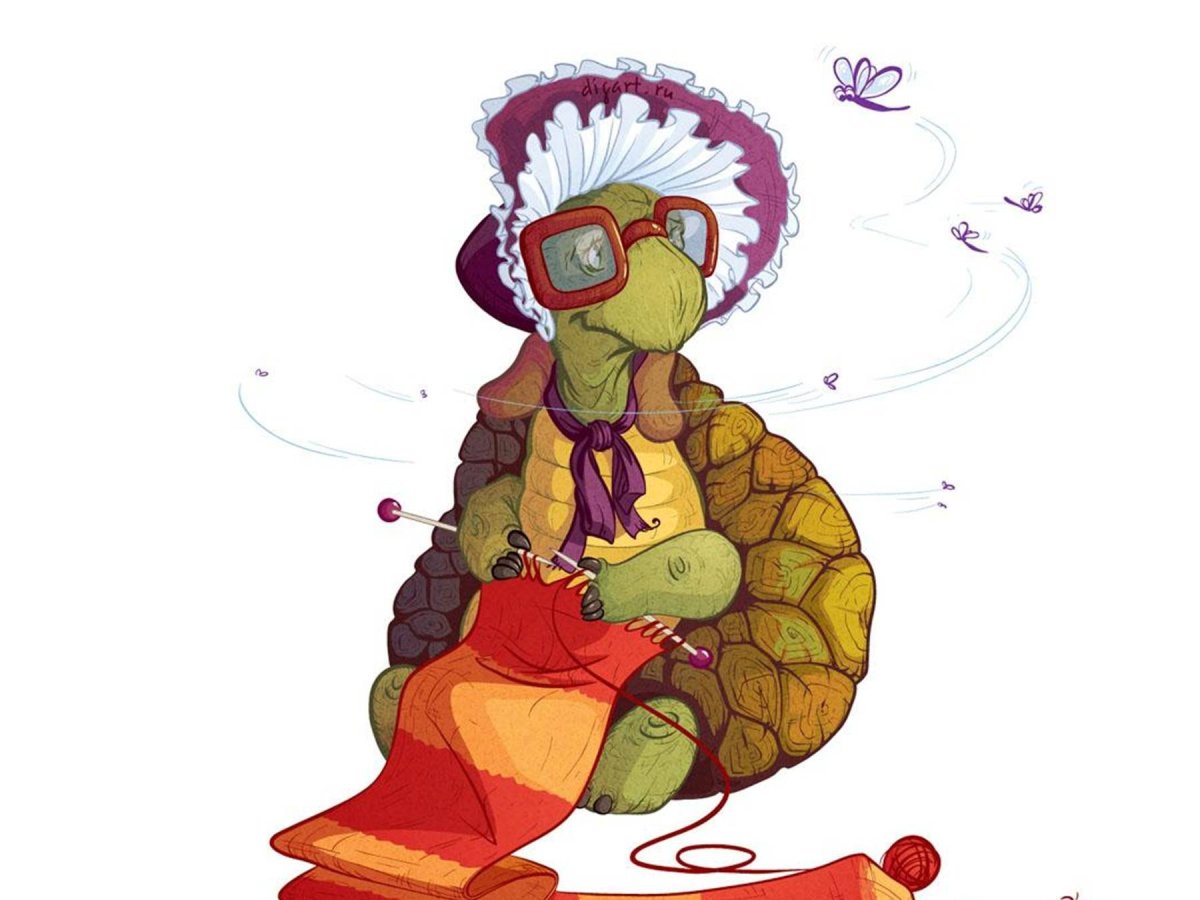 Черепаха торчилла