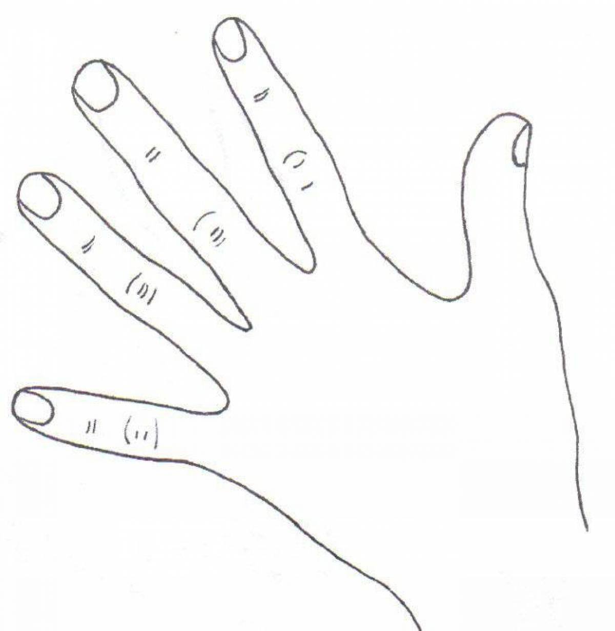 Картинка рука распечатать. Рука раскраска. Рука раскраска для детей. Кисть руки раскраска для детей. Трафарет руки с ногтями.