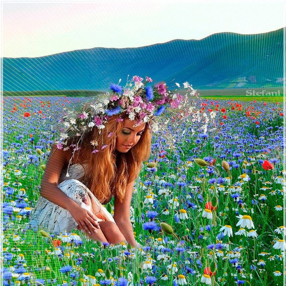 Доброе утро ветер. Девушка лето. Летние полевые цветы. Девочка с полевыми цветами.