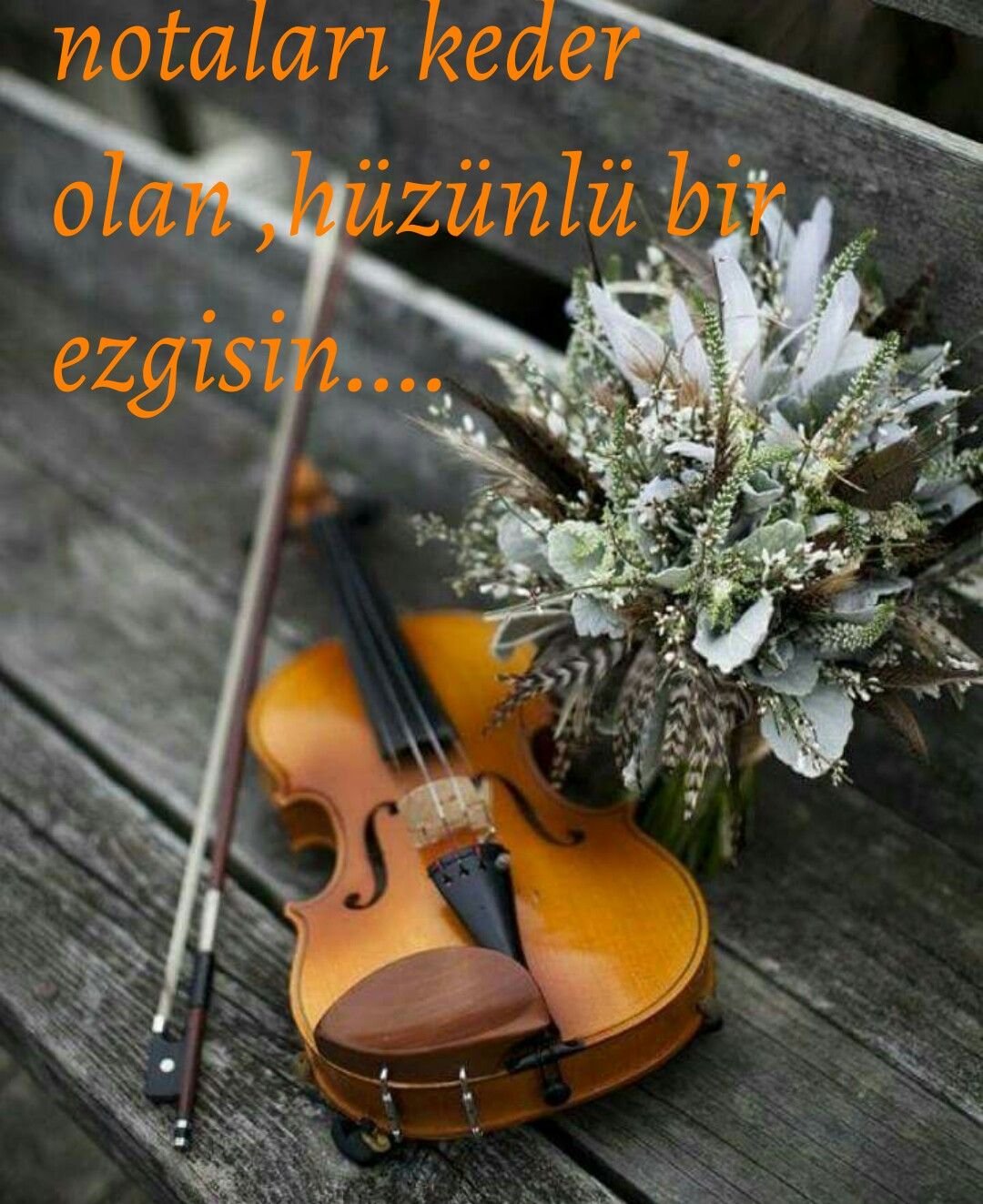 Композиция со скрипкой