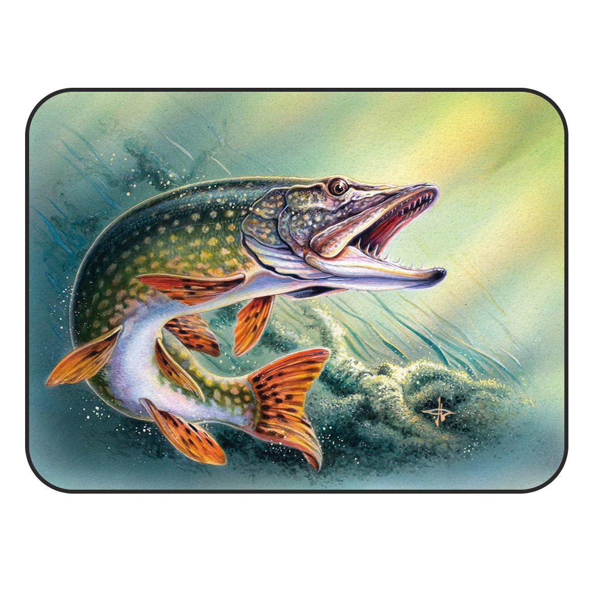 Постер а3 щука клюет