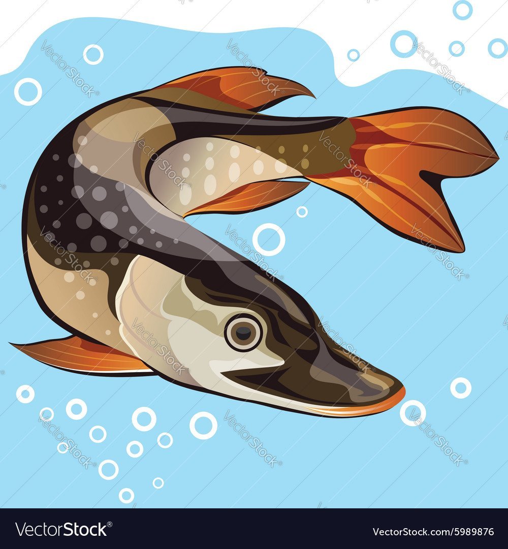 Щука мультяшный