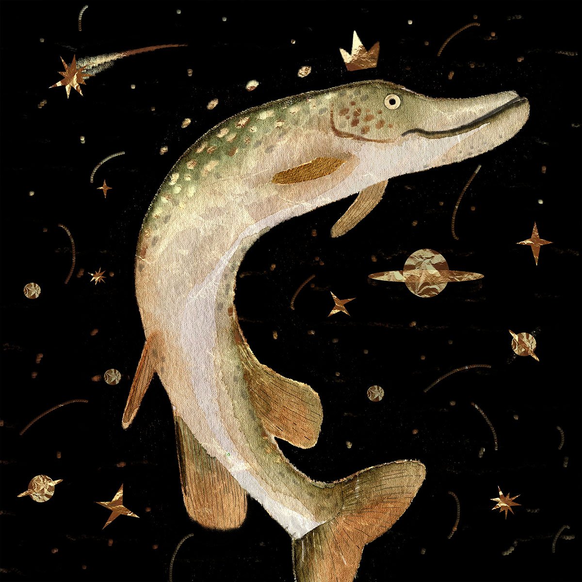 Щука рисунок