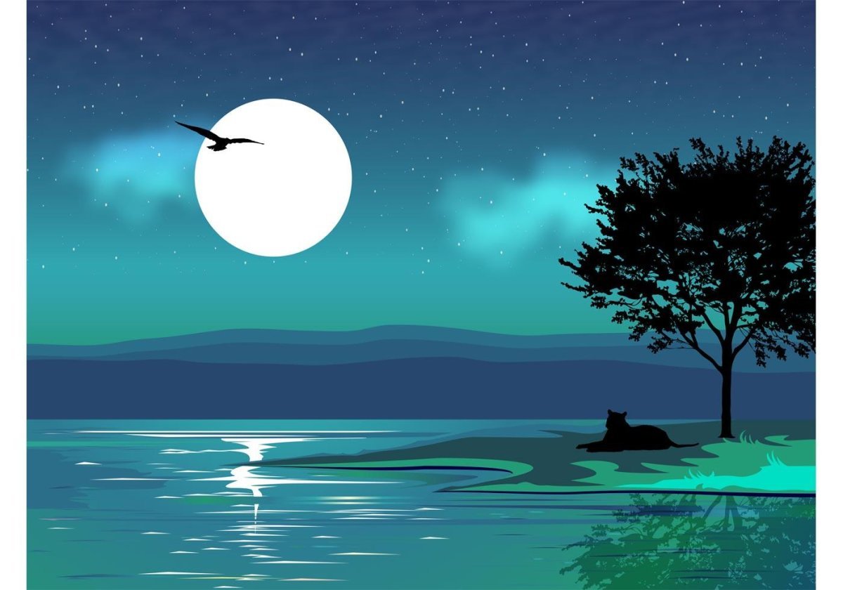 Мультяшная ночь картинки. Пейзаж ночь. Лунный пейзаж. Пейзаж с луной. Пейзаж Лунная ночь.