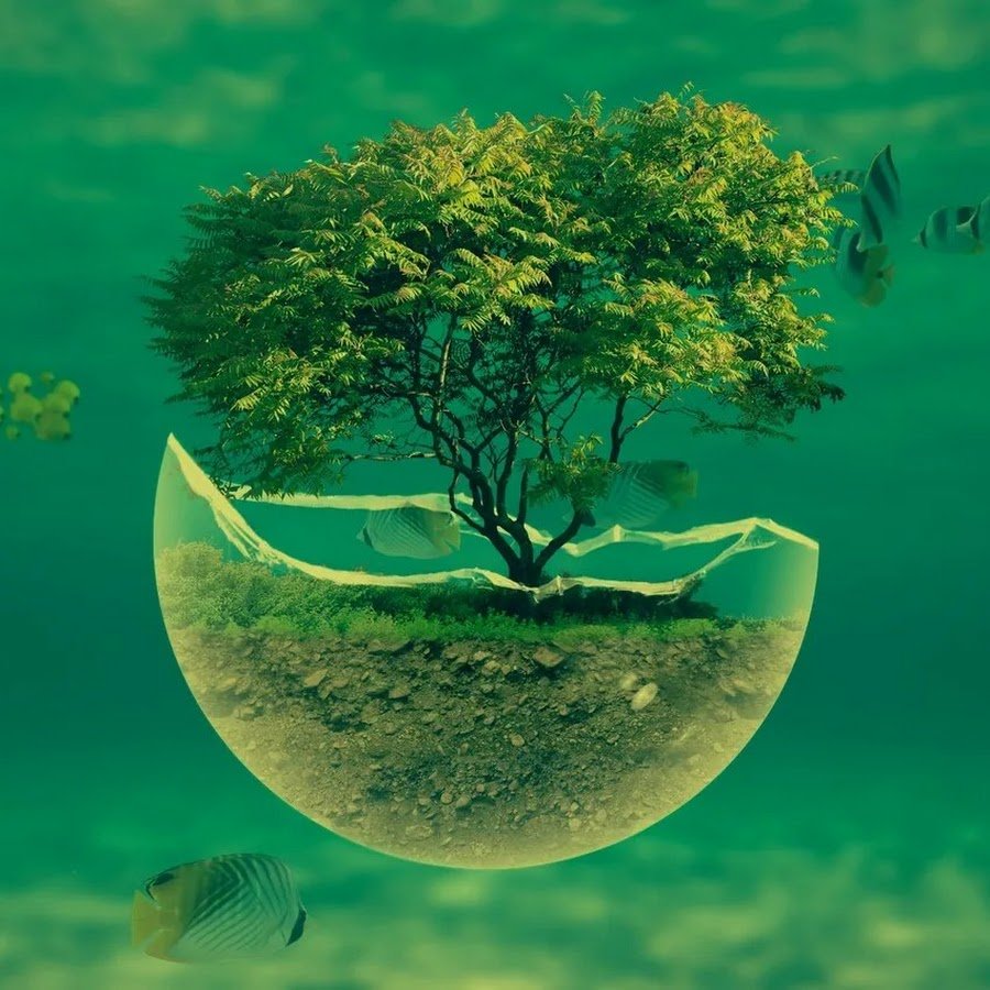 Успокаивающие постеры