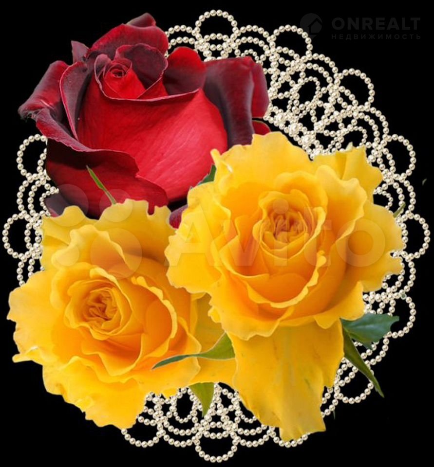 Доброго дня и хорошего настроения