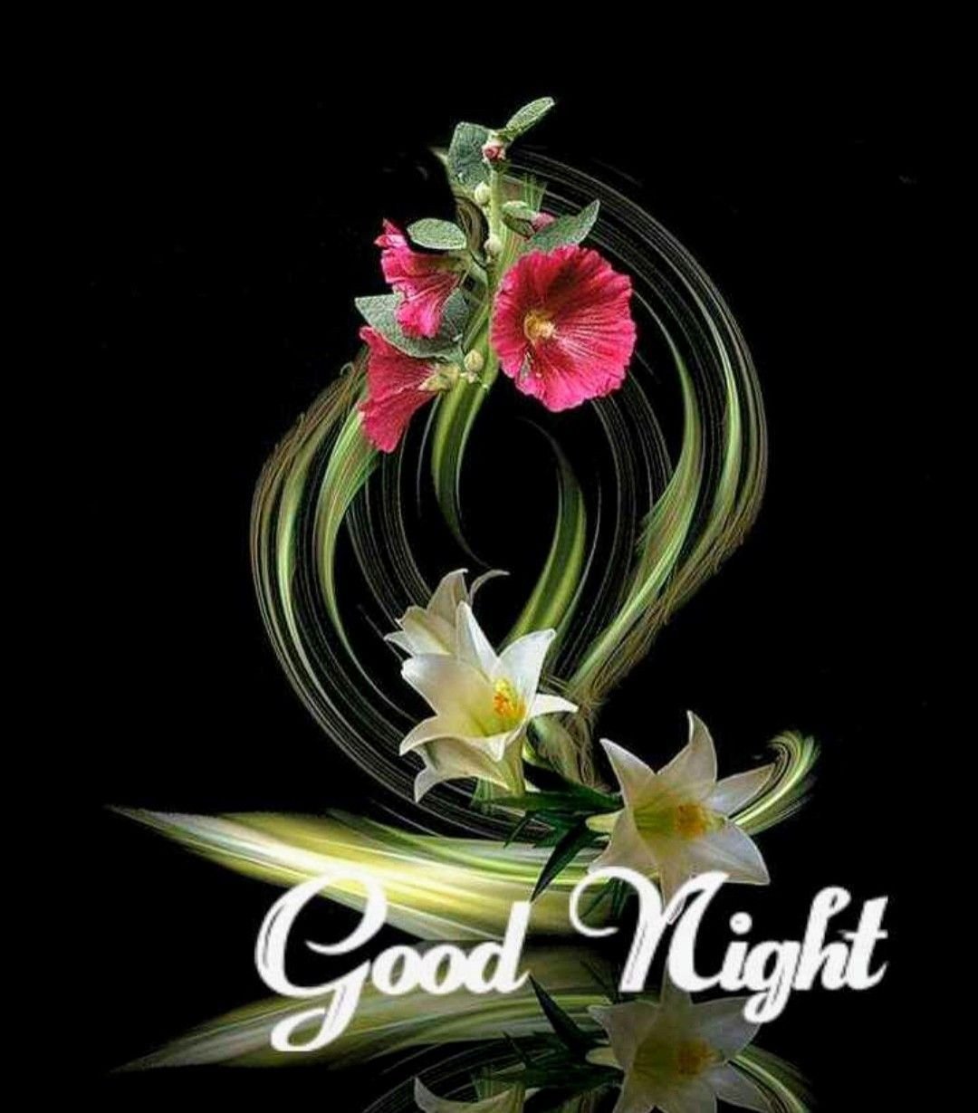 Доброй ночи очень редкие цветы