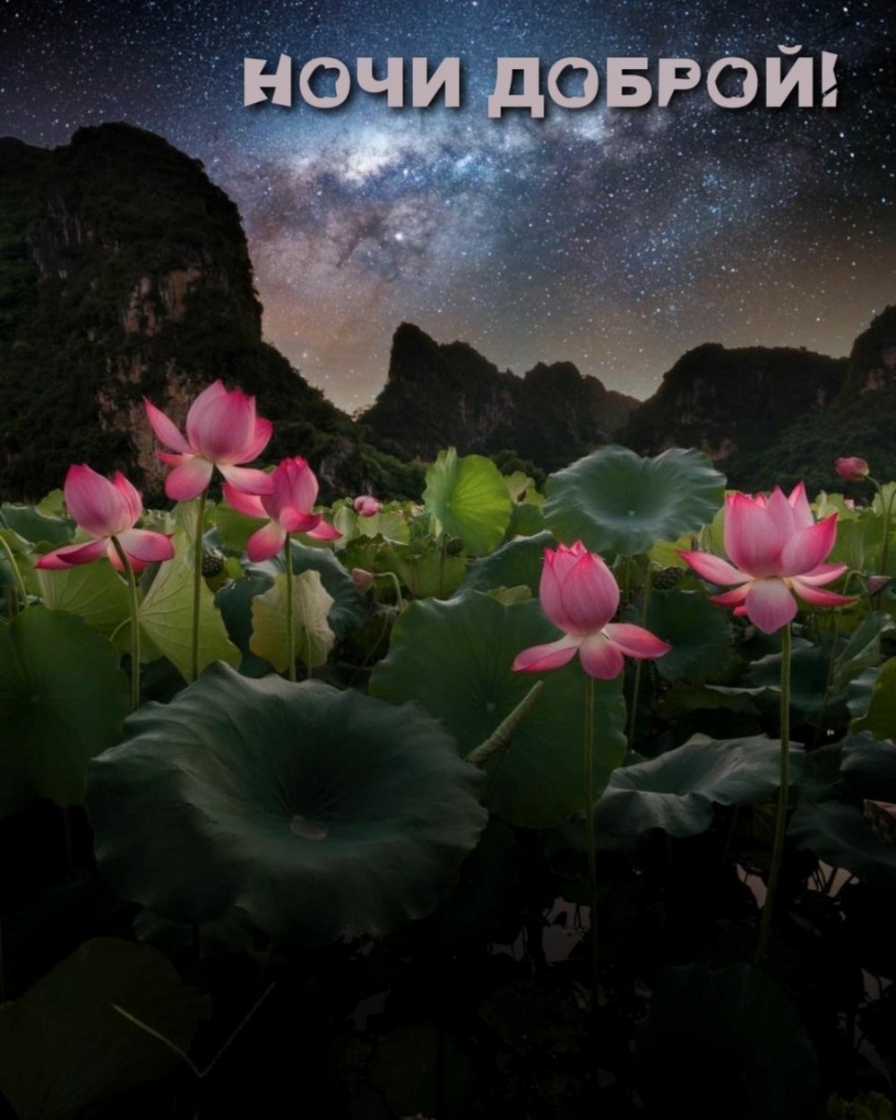 Доброй ночи летом