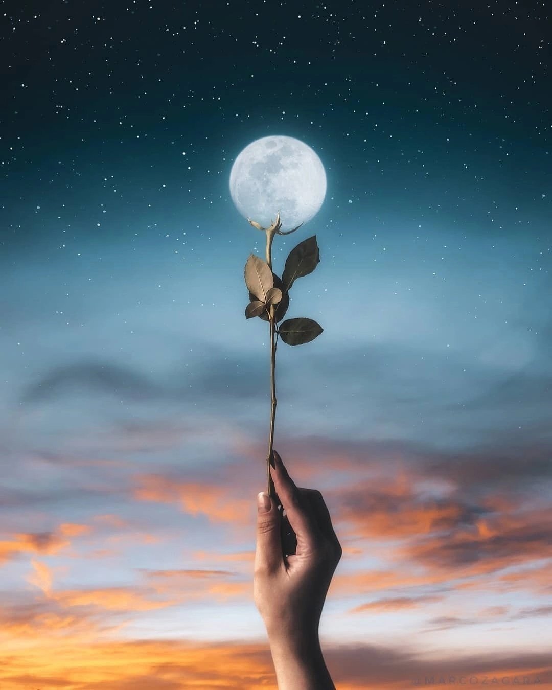 Луна в ладошке
