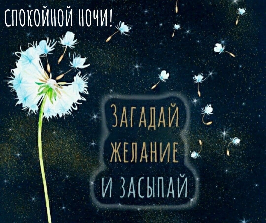Доброй ночи с одуванчиками