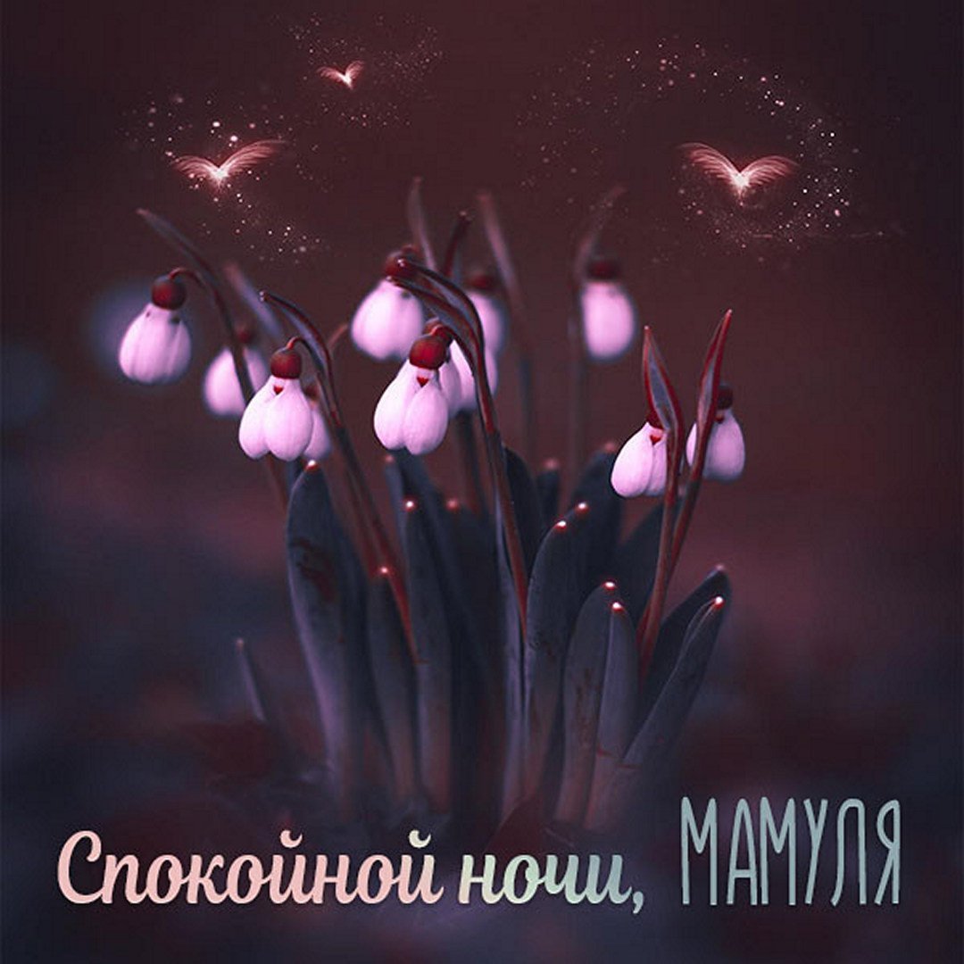 Спокойной ночи до завтра