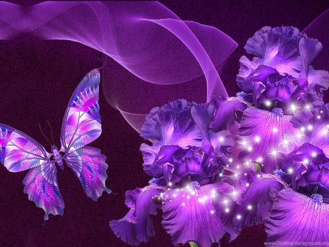 Фиолетовые живые цветы