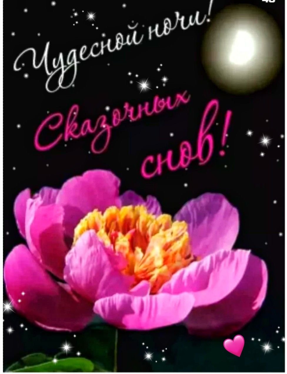 Спокойной ночи цветы