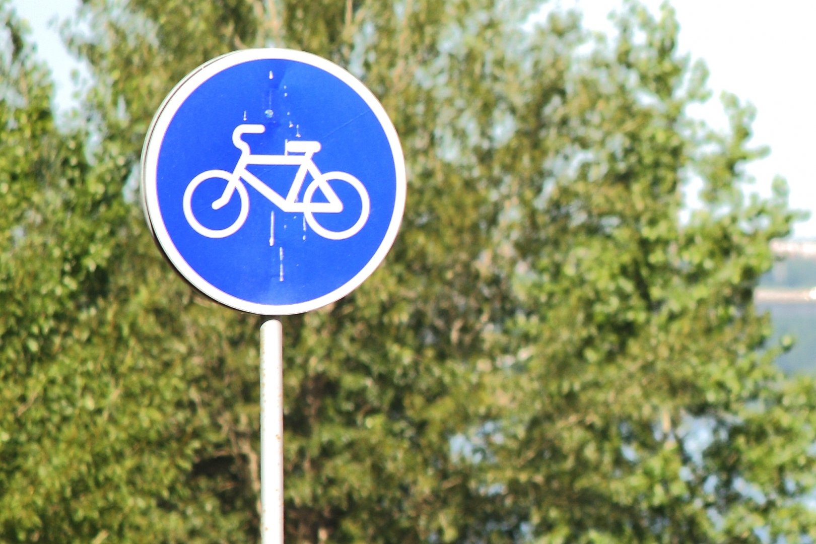 Дорожные знаки петербурга. Знак 4.4.1 велосипедная дорожка. Велосипедная дорожка дорожный знак. Знак велосепеднаядорожка. Знак велосипедной доро.