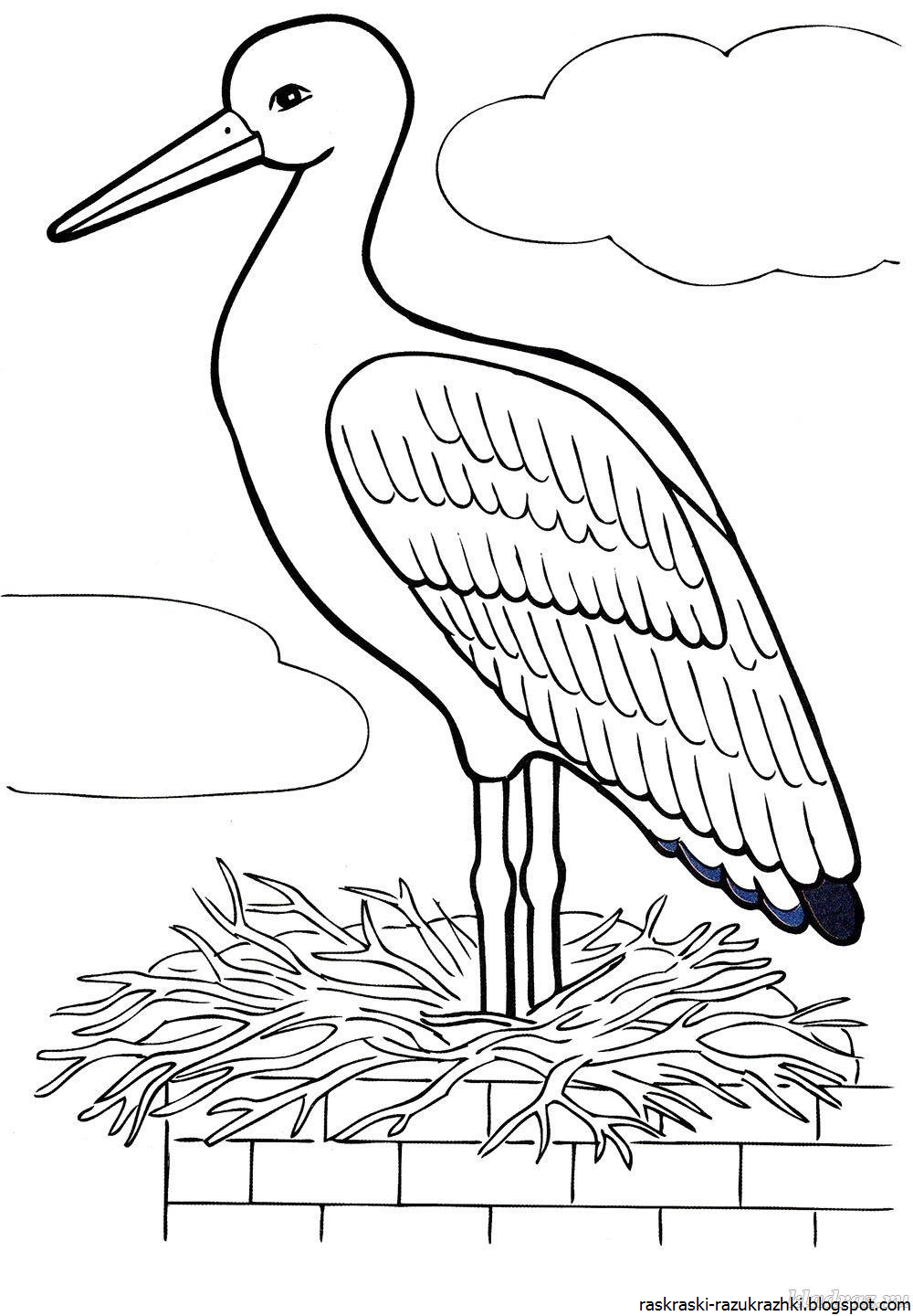 Аист раскраска для детей