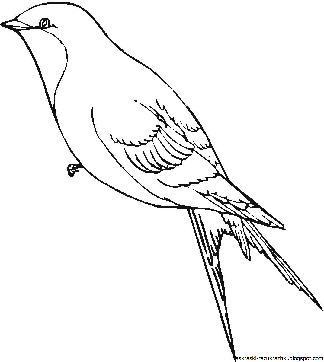 Раскраска "перелетные птицы"