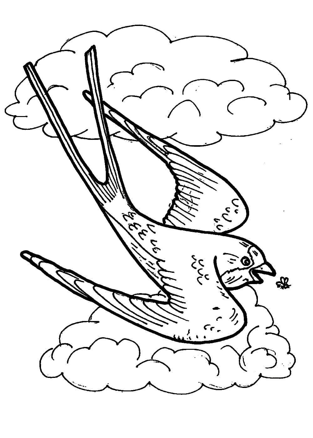 Ласточка раскраска